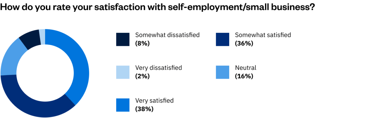 How Do You Rate Your Satisfaction With Self-employment/small Business?