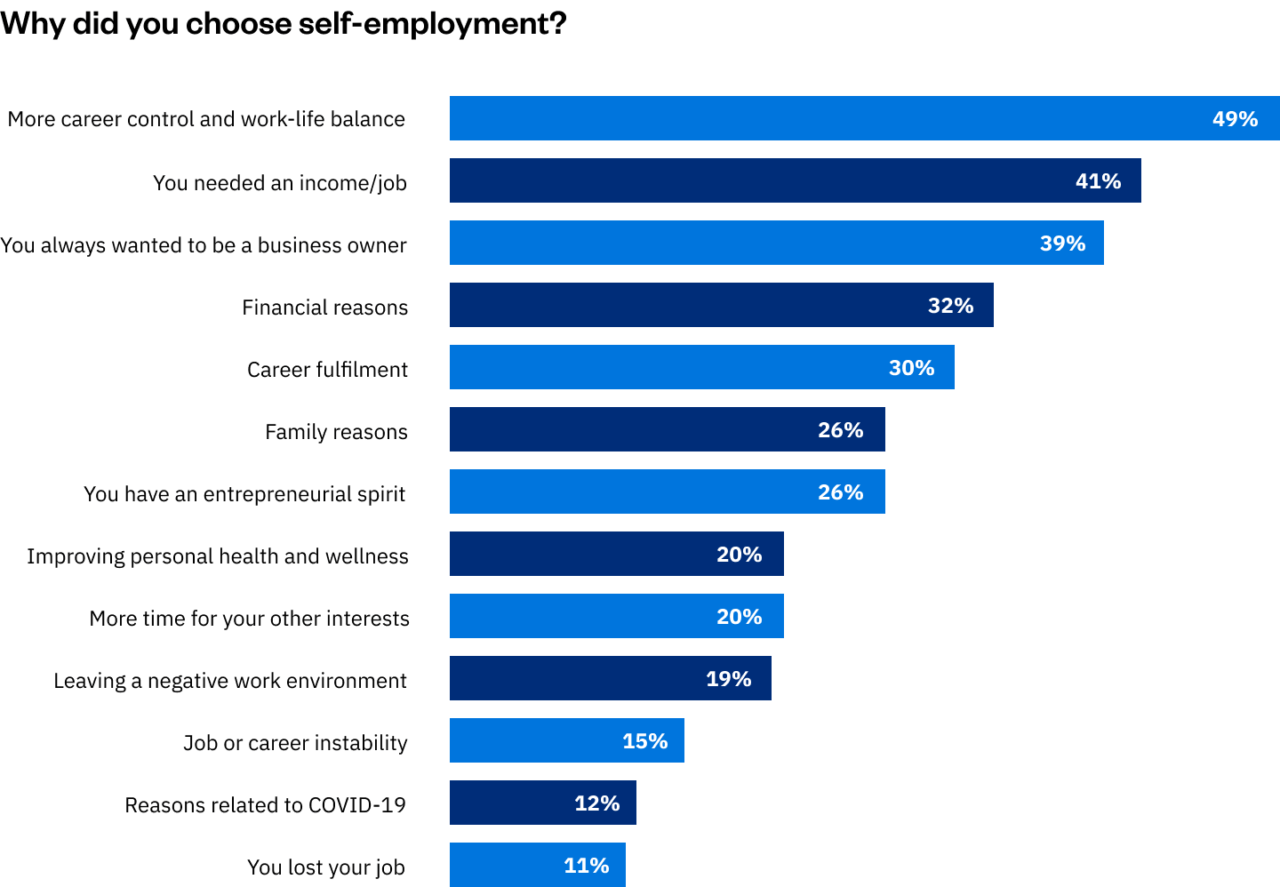 Why Did You Choose Self-employment?